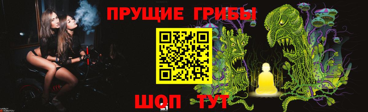 Вязьма  Галлюциногенные грибы Psilocybine cubensis  Вход с VPN 