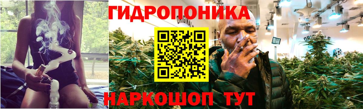 Конопля марихуана  Бошки Шишки планчик  Бошки марихуана SATIVA & INDICA  Вязьма  Шишки марихуана семена  Вход с VPN 